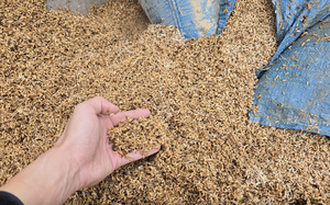 B&agrave;i cuối: Bảo hiểm n&ocirc;ng nghiệp bị bỏ rơi?