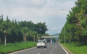 L&acirc;m Đồng nghi&ecirc;n cứu mở tuyến xe bu&yacute;t điện Đ&agrave; Lạt, Bảo Lộc - s&acirc;n bay Li&ecirc;n Khương