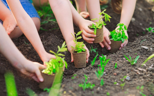 C&aacute;ch n&agrave;o thu h&uacute;t tư nh&acirc;n tham gia thị trường carbon?