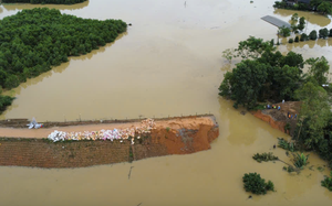 Ứng ph&oacute; B&atilde;o số 5: Y&ecirc;u cầu bảo đảm đ&ecirc; điều, c&ocirc;ng tr&igrave;nh thủy lợi