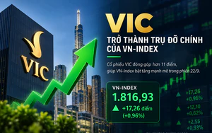 Nâng hạng chứng khoán: "Khẩu vị" nào hút dòng vốn ngoại? - Ảnh 2.