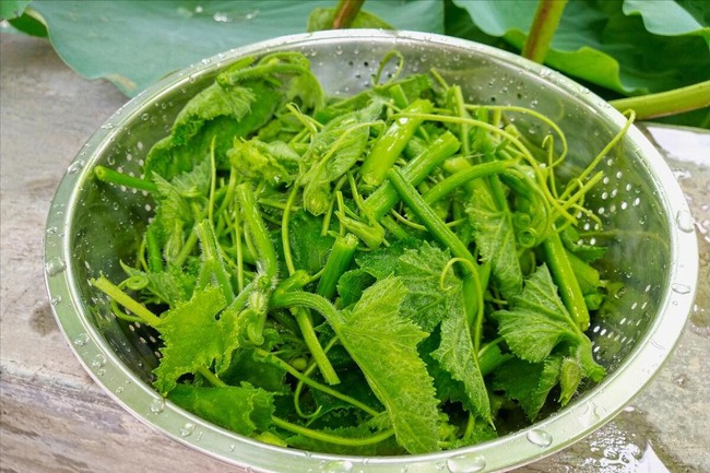Loại rau mệnh danh "m&aacute;y qu&eacute;t" gi&uacute;p nhuận tr&agrave;ng, hạ huyết &aacute;p, nấu c&aacute;ch n&agrave;o cũng ngon- Ảnh 4.