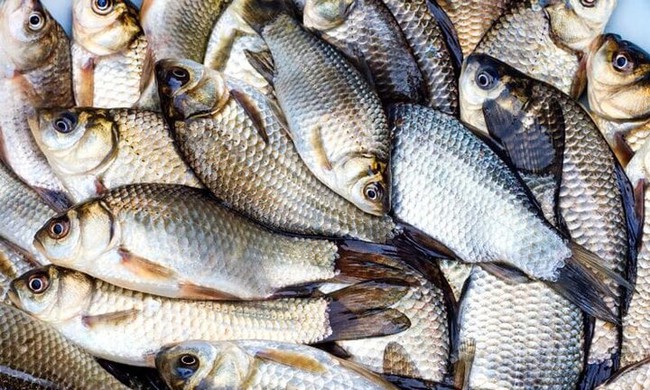 Loại thịt, c&aacute; quen thuộc được khuy&ecirc;n kh&ocirc;ng n&ecirc;n mua về ăn v&igrave; l&yacute; do n&agrave;y- Ảnh 3.