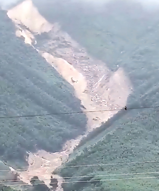 Sạt lở n&uacute;i tại Đ&agrave; Nẵng, một người bị v&ugrave;i lấp tử vong- Ảnh 1.