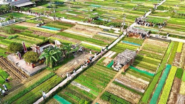 Quảng Nam c&ocirc;ng bố cung đường du lịch Hội An - Mỹ Sơn - Cổng trời Đ&ocirc;ng Giang- Ảnh 2.