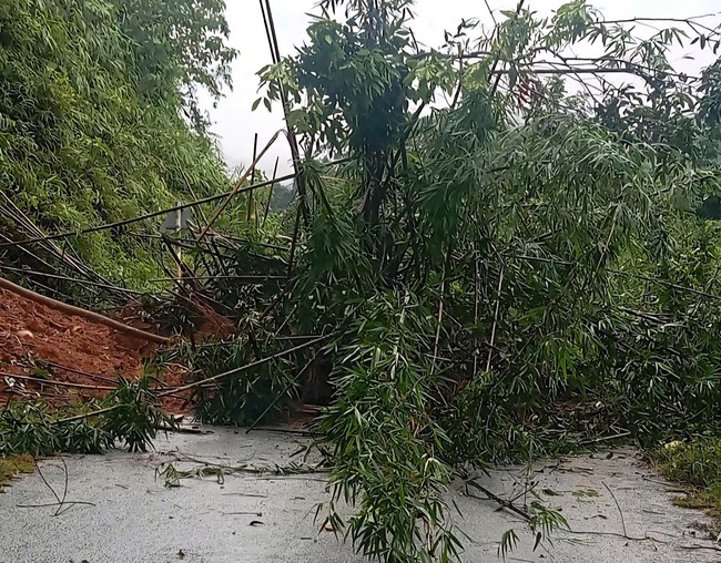 Nghệ An: X&atilde; v&ugrave;ng cao bị sạt lở do mưa lớn k&eacute;o d&agrave;i - Ảnh 1.