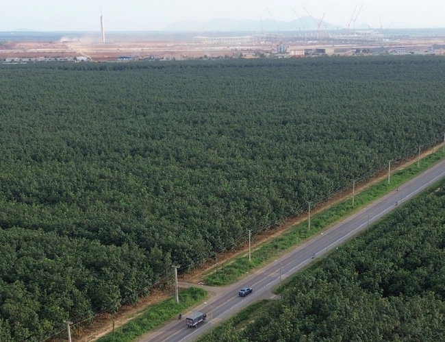 Đồng Nai ấn định loạt mốc GPMB đường tỉnh 769 kết nối s&acirc;n bay Long Th&agrave;nh - Ảnh 2.