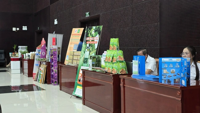 Đ&agrave; Nẵng th&uacute;c đẩy chuyển đổi xanh, hướng tới đ&ocirc; thị sinh th&aacute;i v&agrave; th&ocirc;ng minh - Ảnh 3.