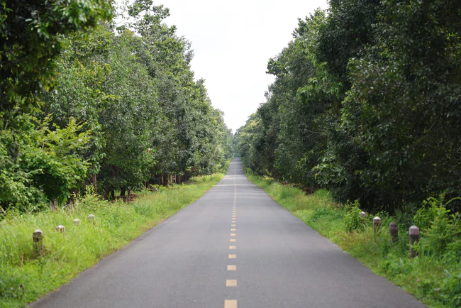 Đồng Nai th&ocirc;ng qua chuyển đổi 2,67ha rừng để l&agrave;m cầu M&atilde; Đ&agrave; - Ảnh 2.