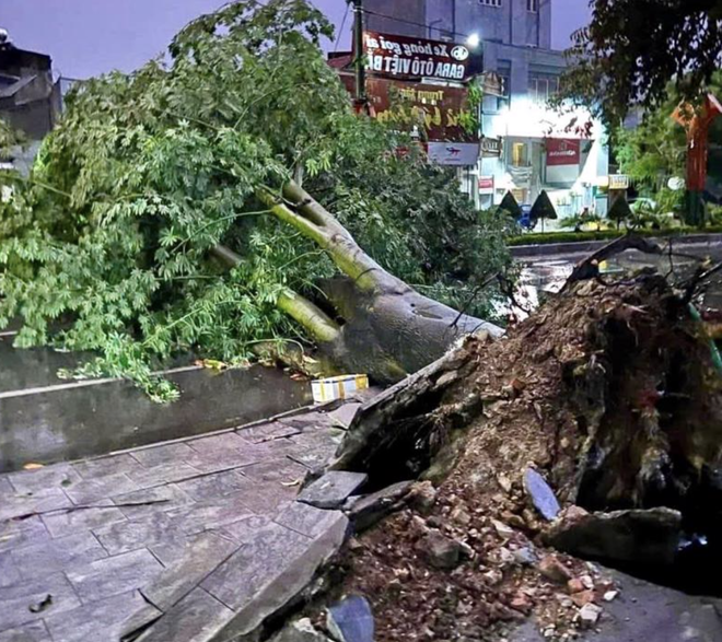 B&atilde;o số 3 Yagi g&acirc;y mưa nhiều nơi, lượng mưa lớn nhất 450mm- Ảnh 2.