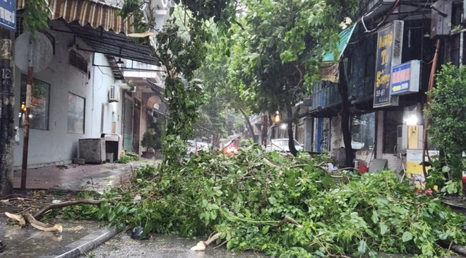 B&atilde;o số 3 Yagi g&acirc;y mưa nhiều nơi, lượng mưa lớn nhất 450mm- Ảnh 3.