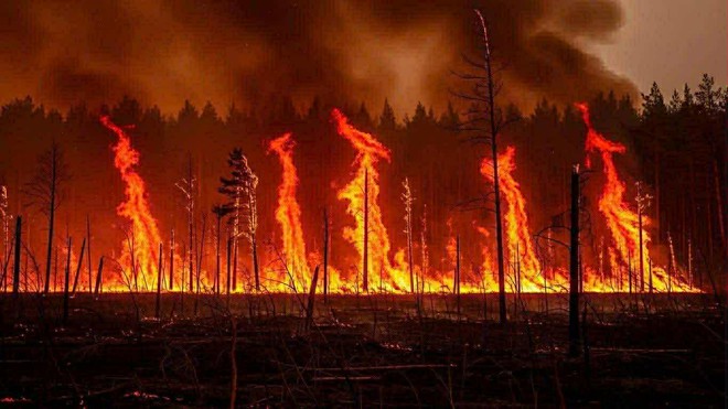 Đạo diễn Phạm Vĩnh Khương mang điện ảnh AI v&agrave; ảo thuật l&ecirc;n s&acirc;n khấu- Ảnh 5.