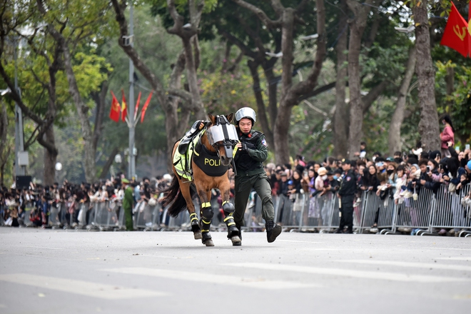M&atilde;n nh&atilde;n m&agrave;n biểu diễn tấn c&ocirc;ng tội phạm của lực lượng cảnh khuyển, kỵ binh- Ảnh 5.