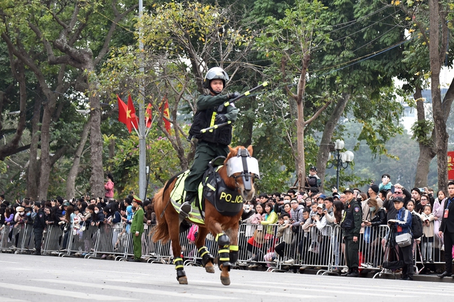 M&atilde;n nh&atilde;n m&agrave;n biểu diễn tấn c&ocirc;ng tội phạm của lực lượng cảnh khuyển, kỵ binh- Ảnh 4.
