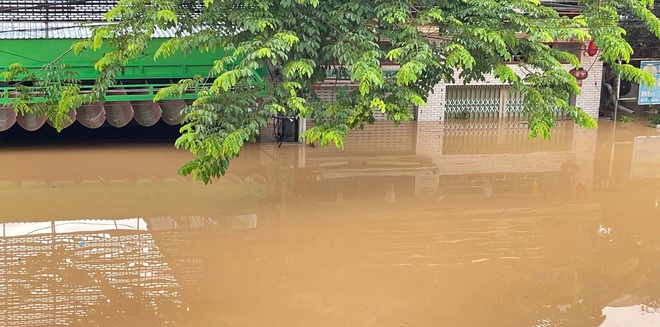 Các xã miền Tây Nghệ An tan hoang sau lũ, hàng trăm ngôi nhà chìm trong biển nước- Ảnh 24. Các xã miền Tây Nghệ An tan hoang sau lũ, hàng trăm ngôi nhà chìm trong biển nước- Ảnh 24.