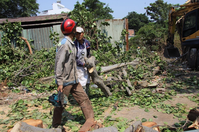 TP.HCM: Cảnh tr&aacute;i ngược ở dự &aacute;n rạch Xuy&ecirc;n T&acirc;m- Ảnh 10.