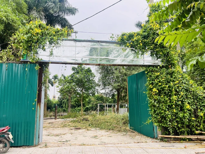 H&agrave; Nội: Phường Bồ Đề khẩn trương giải ph&oacute;ng mặt bằng dự &aacute;n nh&agrave; ở x&atilde; hội- Ảnh 4.