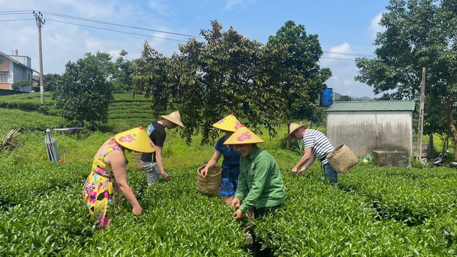 Th&aacute;i Nguy&ecirc;n đ&aacute;nh thức v&ugrave;ng &ldquo;v&agrave;ng xanh&rdquo;, tăng tốc tr&ecirc;n bản đồ du lịch ph&iacute;a Bắc- Ảnh 8.