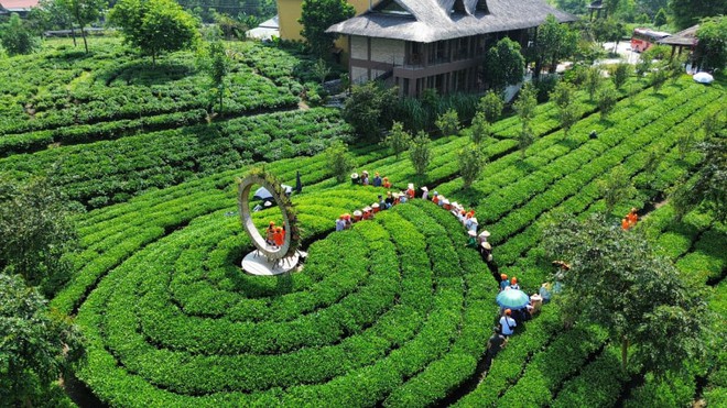 Th&aacute;i Nguy&ecirc;n đ&aacute;nh thức v&ugrave;ng &ldquo;v&agrave;ng xanh&rdquo;, tăng tốc tr&ecirc;n bản đồ du lịch ph&iacute;a Bắc- Ảnh 3.