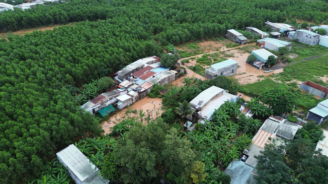 Nhiều tuyến đường, khu dân cư ở Phước Tân lại ngập nặng do nước sông Buông dâng cao- Ảnh 3.