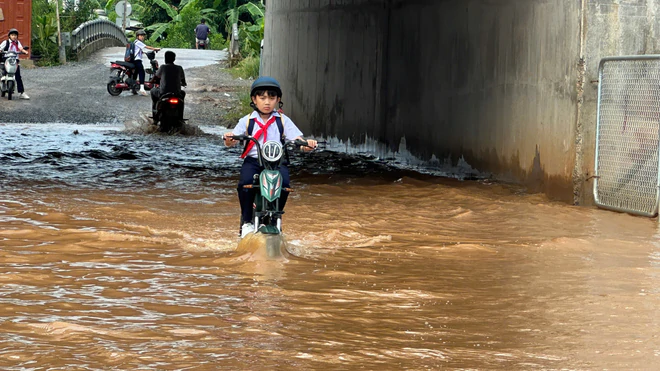 Nhiều tuyến đường, khu dân cư ở Phước Tân lại ngập nặng do nước sông Buông dâng cao- Ảnh 16.