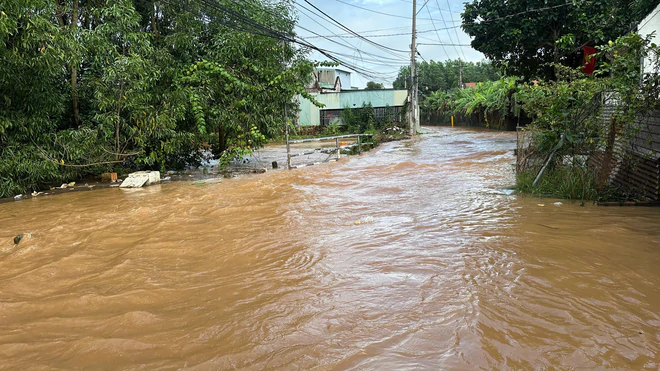 Nhiều tuyến đường, khu dân cư ở Phước Tân lại ngập nặng do nước sông Buông dâng cao- Ảnh 12.