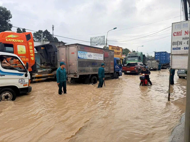 Mưa lớn cùng triều cường gây ngập nhiều khu vực tại Đồng Nai- Ảnh 10.