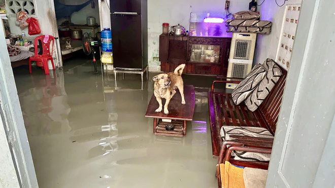 Mưa lớn cùng triều cường gây ngập nhiều khu vực tại Đồng Nai- Ảnh 7.