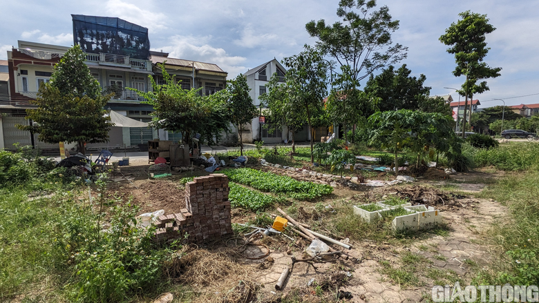 Người d&acirc;n ở H&agrave; Nội k&ecirc;u cứu v&igrave; mua đất 2 năm chưa thể x&acirc;y nh&agrave; - Ảnh 3.