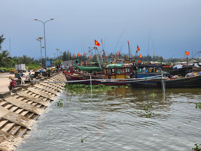 Thái Bình: Sẵn sàng đón đoàn thanh tra Ủy ban châu Âu (EC) lần 4 - Ảnh 1. Thái Bình: Sẵn sàng đón đoàn thanh tra Ủy ban châu Âu (EC) lần 4 - Ảnh 1.