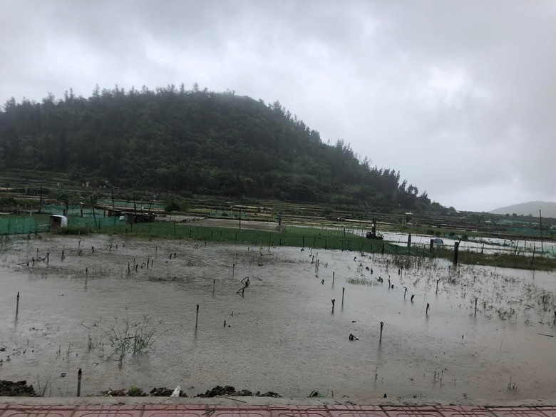 Quảng Ngãi mưa lớn kéo dài nhiều nơi bị ngập, giao thông chia cắt - Ảnh 5. Quảng Ngãi mưa lớn kéo dài nhiều nơi bị ngập, giao thông chia cắt - Ảnh 5.