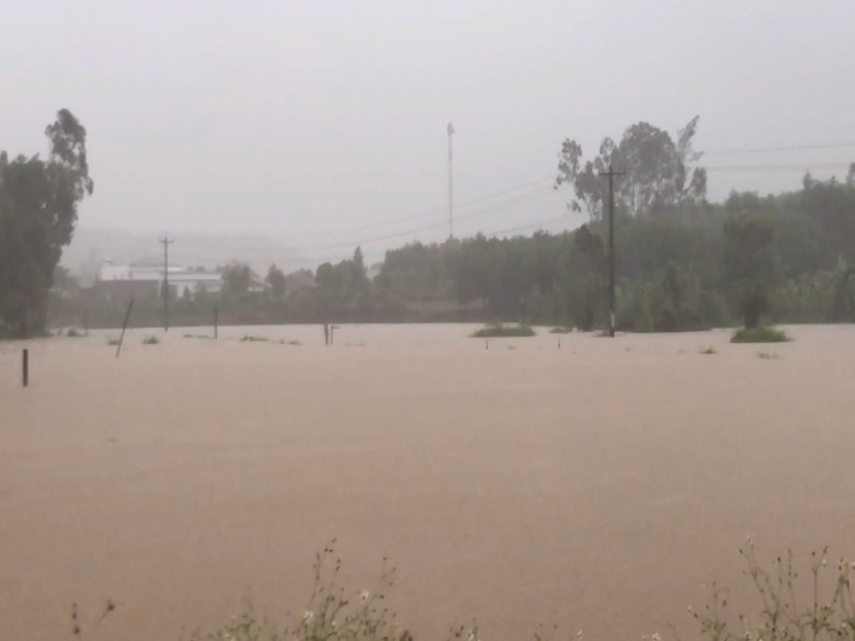 Quảng Ngãi mưa lớn kéo dài nhiều nơi bị ngập, giao thông chia cắt - Ảnh 4. Quảng Ngãi mưa lớn kéo dài nhiều nơi bị ngập, giao thông chia cắt - Ảnh 4.