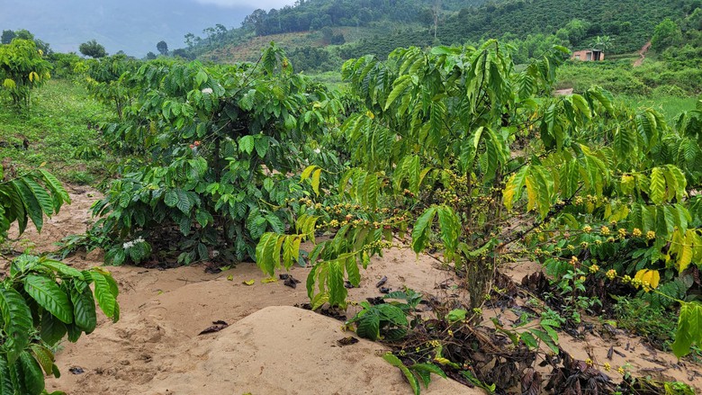 Gia Lai: Dừng hoạt động mỏ đ&aacute; v&igrave; g&acirc;y sạt lở - Ảnh 4.