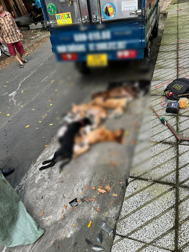 Hai thanh niên nghi trộm chó bị ô tô truy đuổi, camera ghi lại diễn biến bất ngờ - Ảnh 2. Hai thanh niên nghi trộm chó bị ô tô truy đuổi, camera ghi lại diễn biến bất ngờ - Ảnh 2.