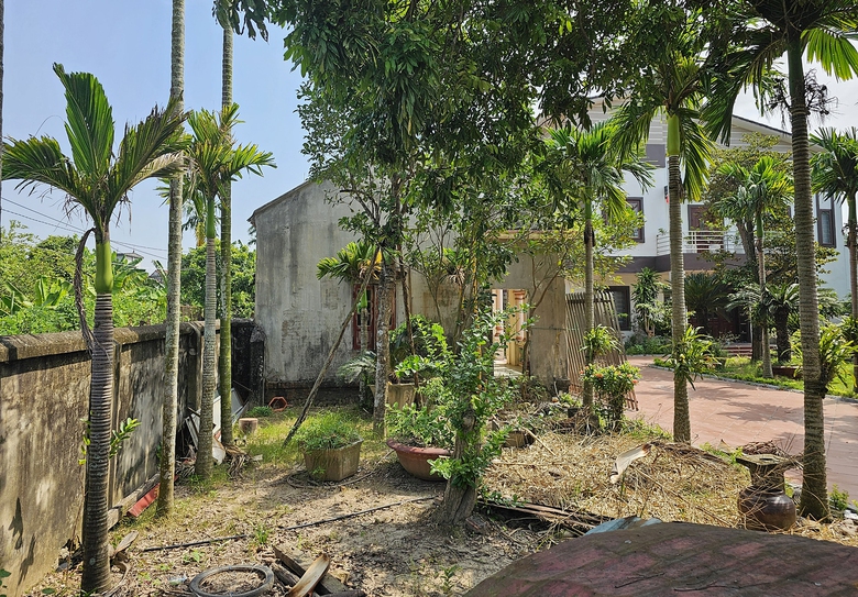 Day dứt sau phi&ecirc;n xử con chiếm nh&agrave; mẹ gi&agrave; - Ảnh 1.