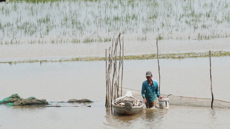 Ch&iacute;nh thức đ&oacute;i lũ, người d&acirc;n đầu nguồn &iacute;t hưởng lợi từ thi&ecirc;n nhi&ecirc;n - Ảnh 2.