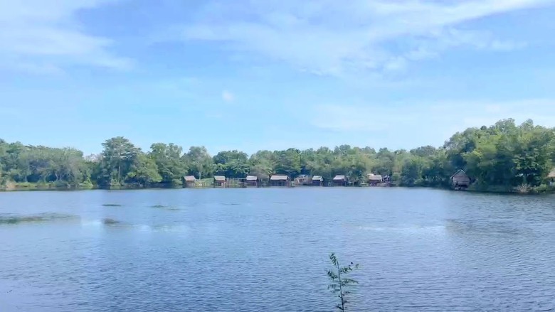 Đề xuất di dời hoặc thanh l&yacute; đ&agrave;n c&aacute; sấu c&oacute; 8 con sổng chuồng ở Ki&ecirc;n Giang - Ảnh 2.