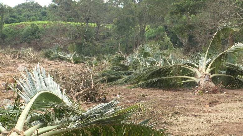 Vụ vỡ đập thuỷ điện ở Gia Lai: N&oacute;ng tiến độ, chủ quan bất chấp thời tiết - Ảnh 2.