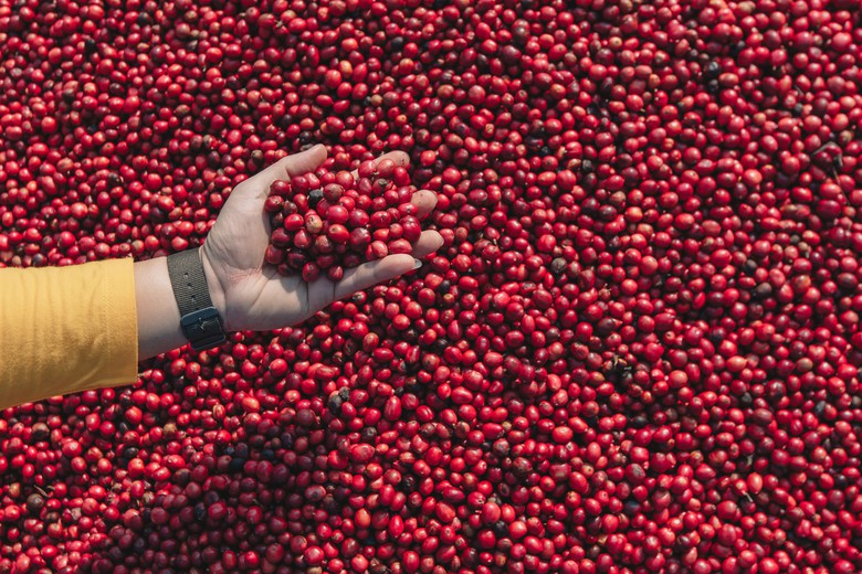 Gia Lai: Giải ph&aacute;p n&agrave;o để logistics ph&aacute;t triển - Ảnh 4.