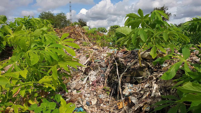 Đề xuất x&acirc;y cầu cạn qua b&atilde;i r&aacute;c chắn cao tốc Cần Thơ &ndash; C&agrave; Mau - Ảnh 5.