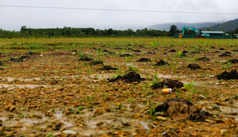 Ho&agrave;n th&agrave;nh xử l&yacute; đất nhiễm dioxin tại s&acirc;n bay A So - Ảnh 4.