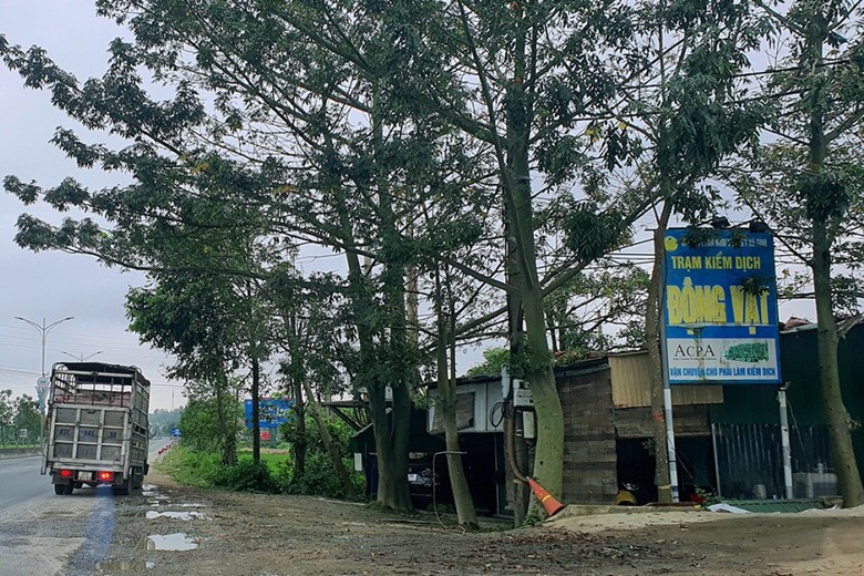 V&ograve;i tiền chủ xe chở lợn, 2 nh&acirc;n vi&ecirc;n trạm kiểm dịch bị bắt tạm giam - Ảnh 1.