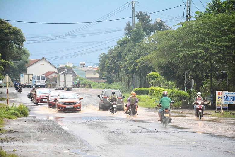 Gia Lai: Giải ph&aacute;p n&agrave;o để logistics ph&aacute;t triển - Ảnh 6.