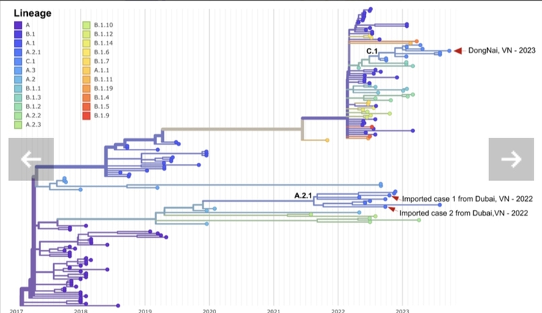 TP.HCM: Kết quả giải m&atilde; gene ca mắc đậu m&ugrave;a khỉ nội địa đầu ti&ecirc;n - Ảnh 1.