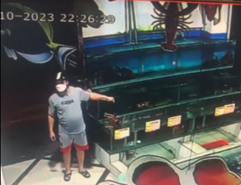 Thanh niên lấy trộm tôm hùm Úc nặng 3,5 kg, camera nhà hàng tố hành vi xấu xí - Ảnh 2. Thanh niên lấy trộm tôm hùm Úc nặng 3,5 kg, camera nhà hàng tố hành vi xấu xí - Ảnh 2.