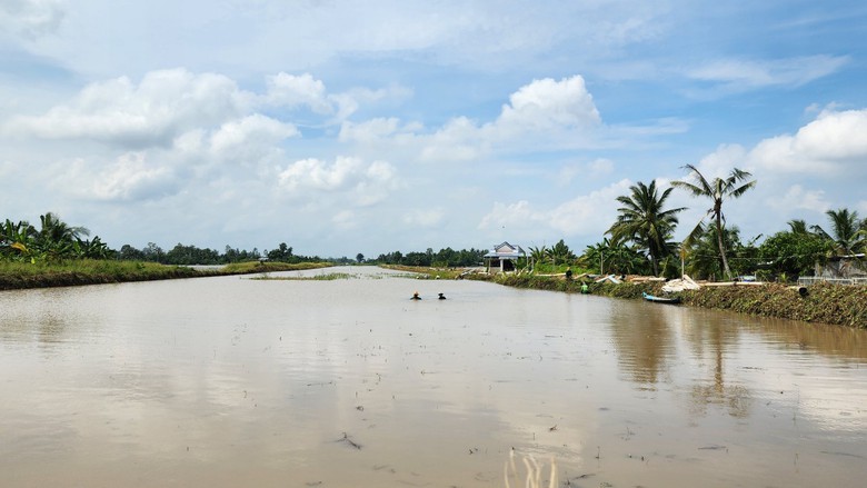 Vĩnh Long đẩy nhanh thủ tục, sớm hỗ trợ 2,2 triệu m3 c&aacute;t cho cao tốc Cần Thơ - C&agrave; Mau - Ảnh 2.