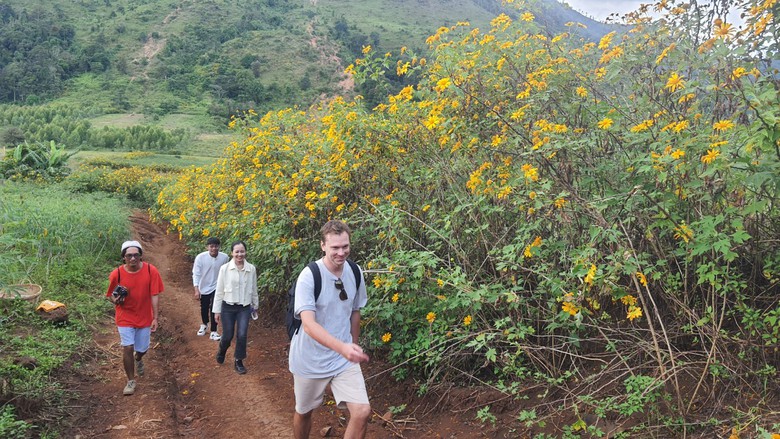 Ngất ng&acirc;y với triệu đ&oacute;a D&atilde; Quỳ tr&ecirc;n đỉnh Chư Đăng Ya - Ảnh 11.