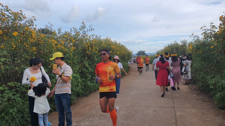 Ngất ng&acirc;y với triệu đ&oacute;a D&atilde; Quỳ tr&ecirc;n đỉnh Chư Đăng Ya - Ảnh 13.