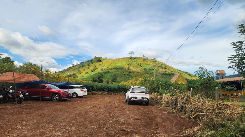 Ngất ng&acirc;y với triệu đ&oacute;a D&atilde; Quỳ tr&ecirc;n đỉnh Chư Đăng Ya - Ảnh 2.