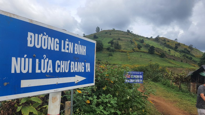 Ngất ng&acirc;y với triệu đ&oacute;a D&atilde; Quỳ tr&ecirc;n đỉnh Chư Đăng Ya - Ảnh 5.